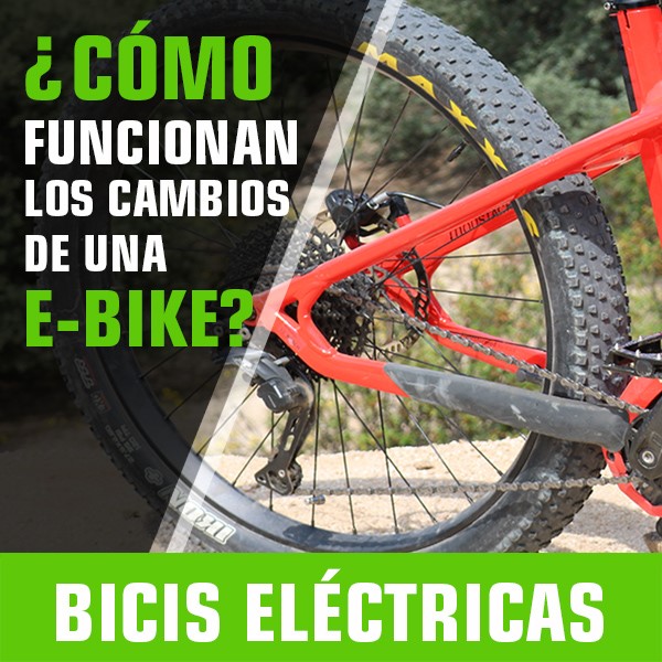 Sanferbike ebikes